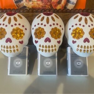Sugar Skull wallflower plugs